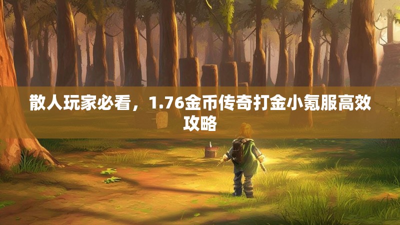 散人玩家必看,1.76金币传奇打金小氪服高效攻略