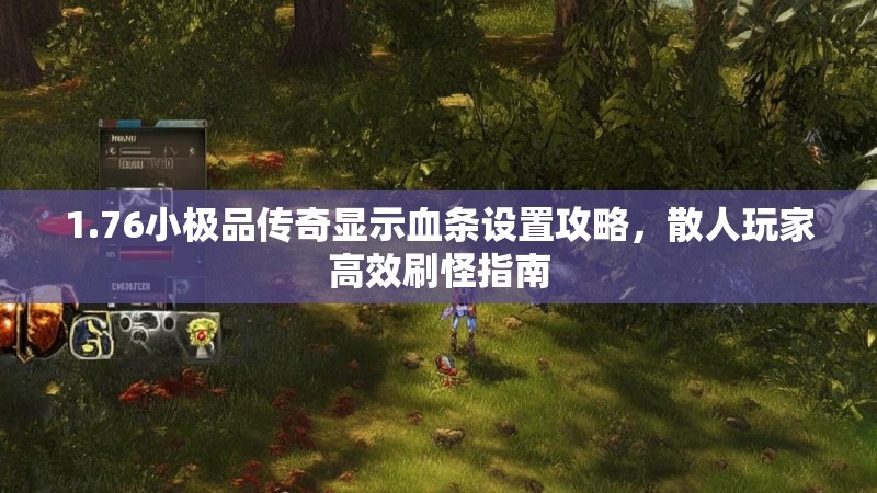 1.76小极品传奇显示血条设置攻略,散人玩家高效刷怪指南