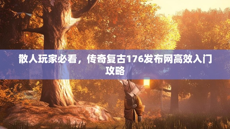 散人玩家必看,传奇复古176发布网高效入门攻略