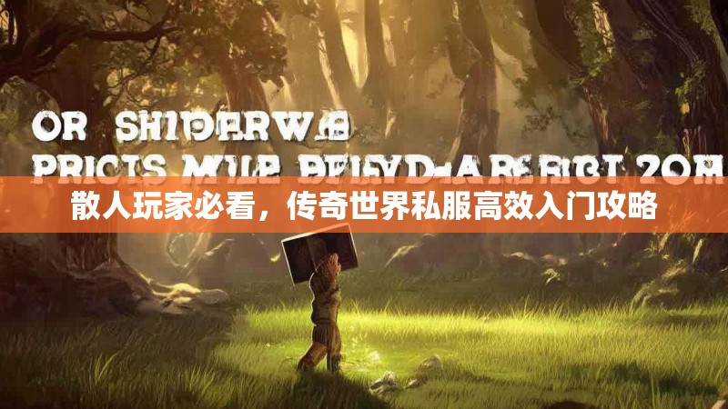散人玩家必看,传奇世界私服高效入门攻略