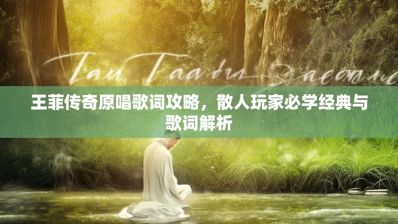 王菲传奇原唱歌词攻略,散人玩家必学经典与歌词解析