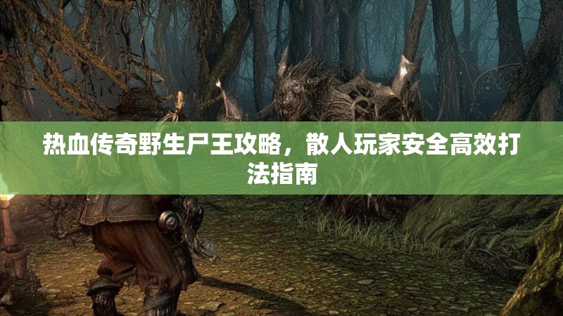 热血传奇野生尸王攻略，散人玩家安全高效打法指南
