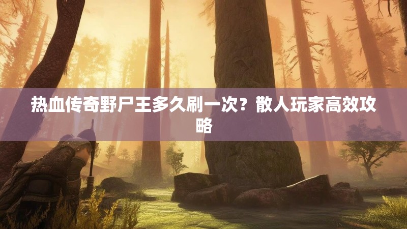 热血传奇野尸王多久刷一次？散人玩家高效攻略