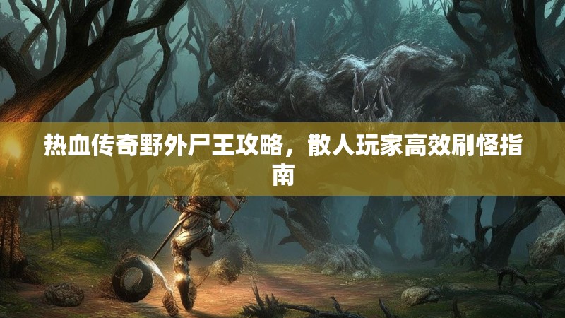 热血传奇野外尸王攻略，散人玩家高效刷怪指南