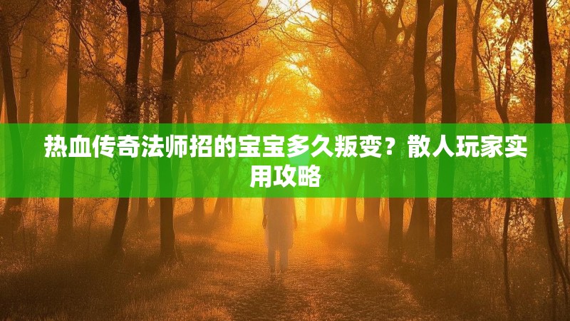 热血传奇法师招的宝宝多久叛变？散人玩家实用攻略