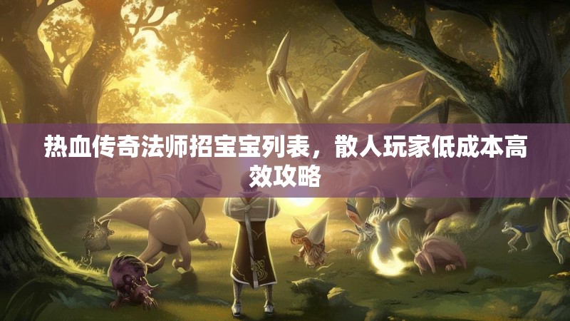 热血传奇法师招宝宝列表，散人玩家低成本高效攻略