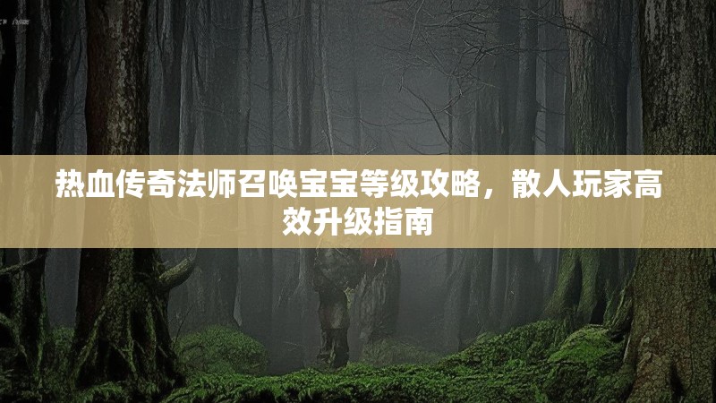 热血传奇法师召唤宝宝等级攻略,散人玩家高效升级指南