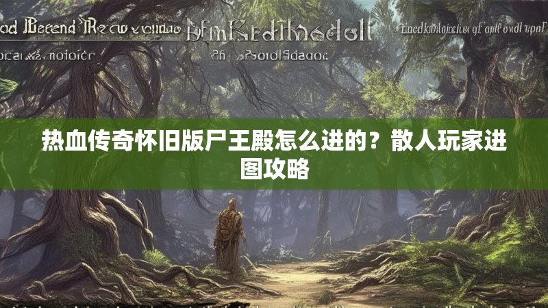 热血传奇怀旧版尸王殿怎么进的？散人玩家进图攻略