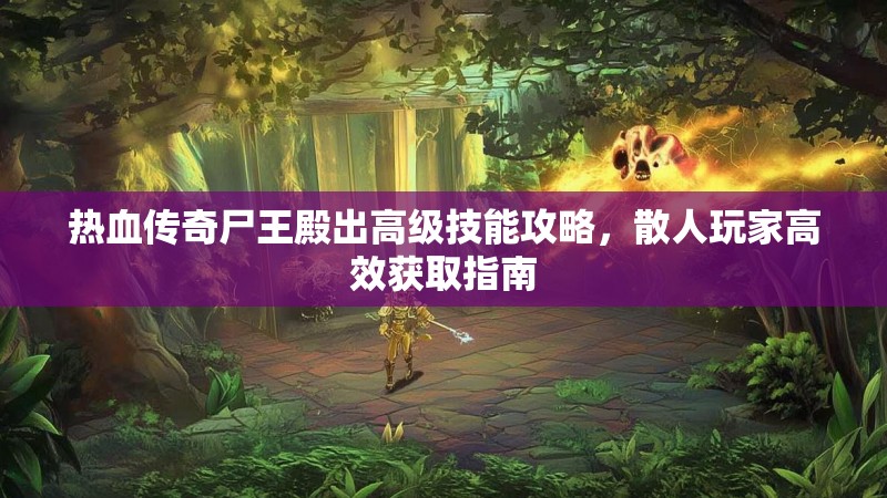 热血传奇尸王殿出高级技能攻略,散人玩家高效获取指南
