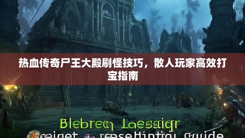 热血传奇尸王大殿刷怪技巧,散人玩家高效打宝指南