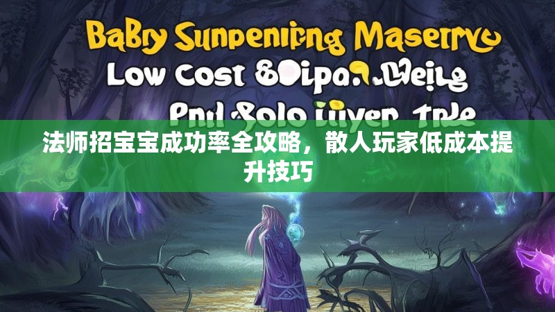 法师招宝宝成功率全攻略,散人玩家低成本提升技巧