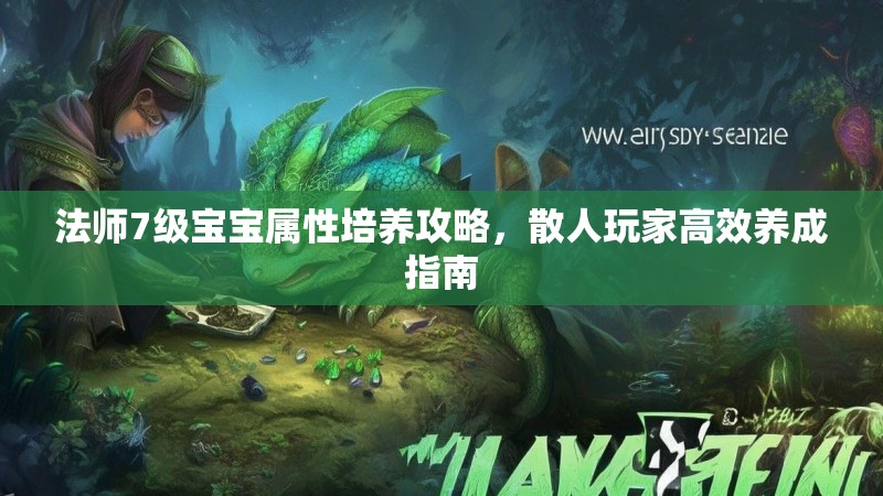 法师7级宝宝属性培养攻略,散人玩家高效养成指南