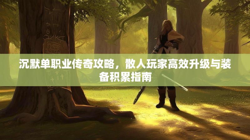 沉默单职业传奇攻略，散人玩家高效升级与装备积累指南