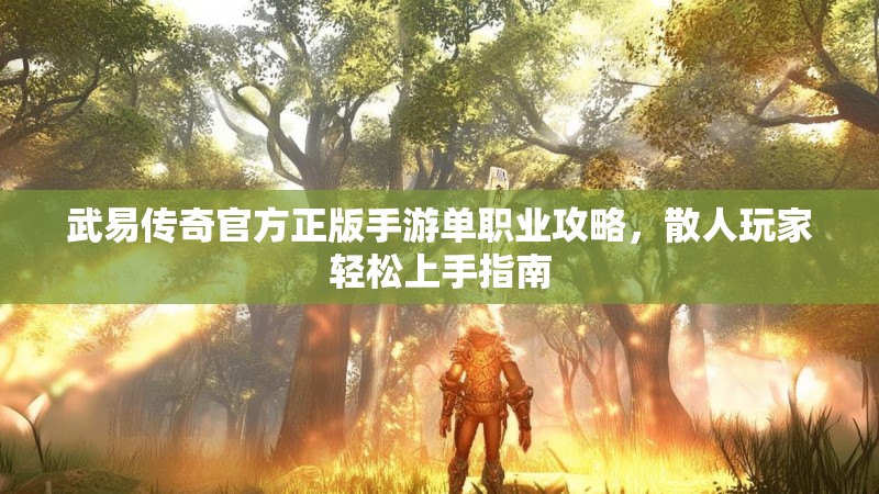 武易传奇官方正版手游单职业攻略,散人玩家轻松上手指南