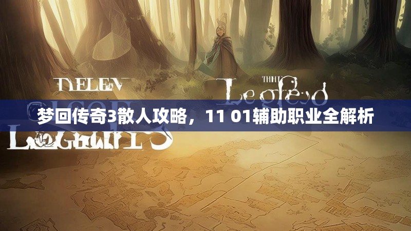 梦回传奇3散人攻略,11 01辅助职业全解析