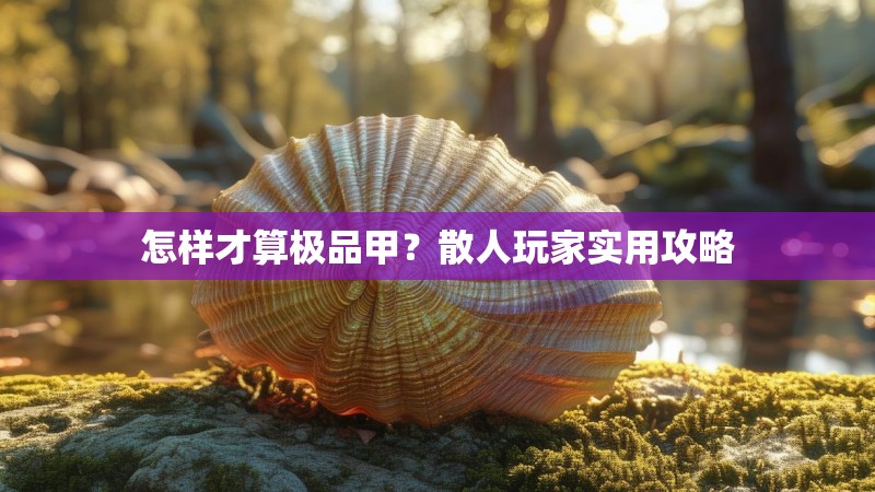 怎样才算极品甲?散人玩家实用攻略