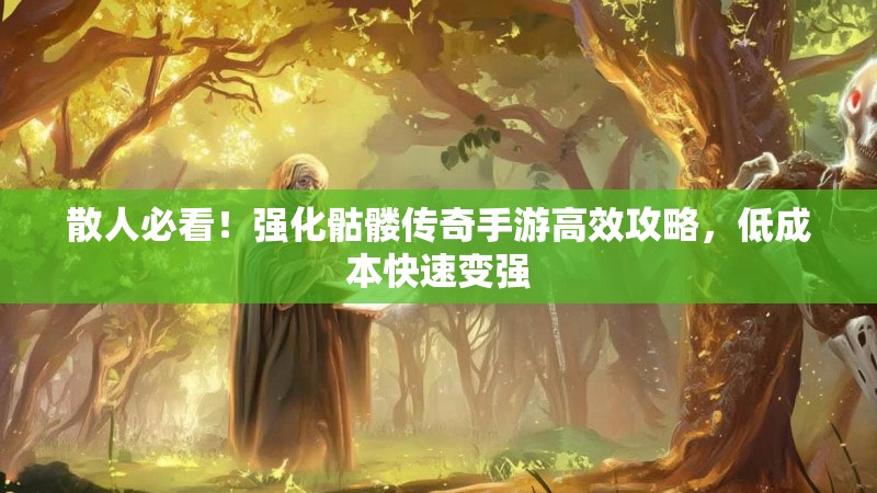 散人必看!强化骷髅传奇手游高效攻略,低成本快速变强