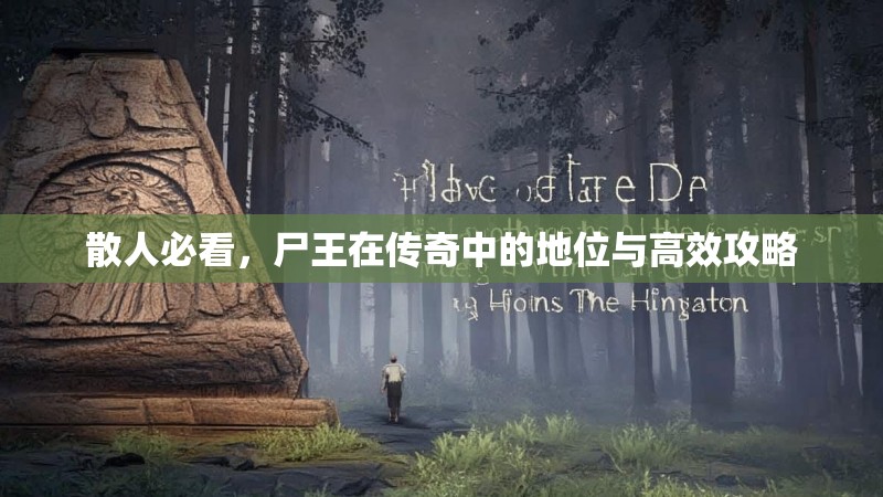 散人必看，尸王在传奇中的地位与高效攻略