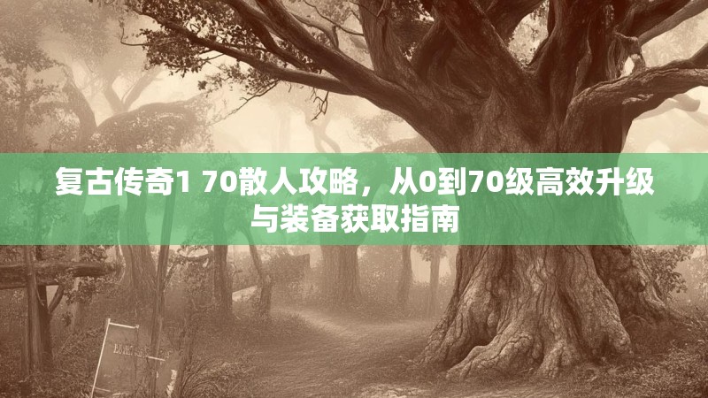 复古传奇1 70散人攻略,从0到70级高效升级与装备获取指南