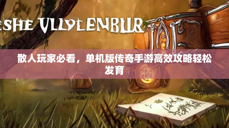 散人玩家必看,单机版传奇手游高效攻略轻松发育