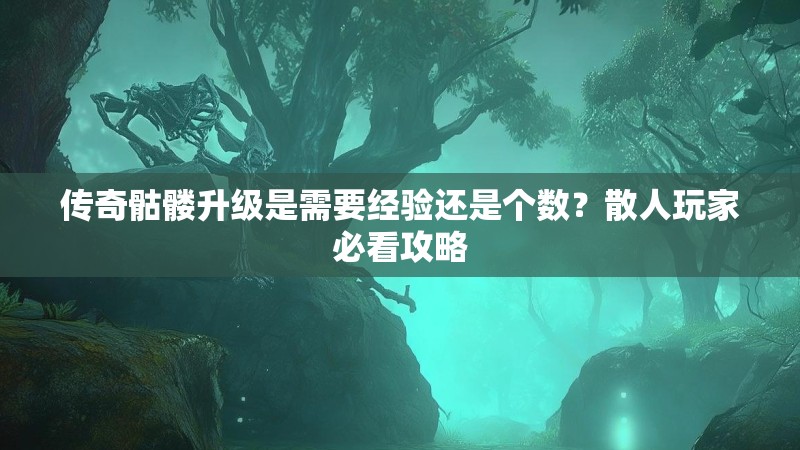 传奇骷髅升级是需要经验还是个数？散人玩家必看攻略