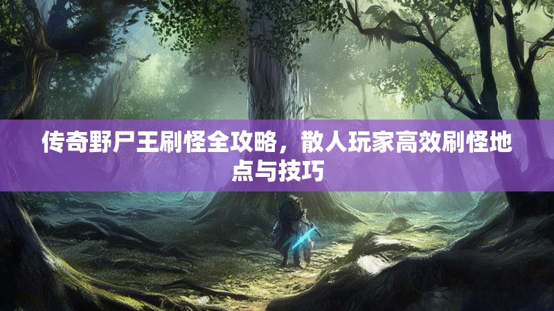 传奇野尸王刷怪全攻略,散人玩家高效刷怪地点与技巧