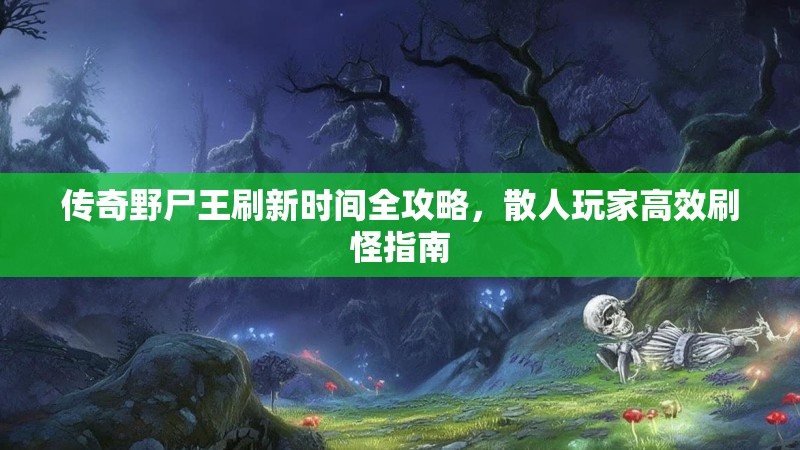 传奇野尸王刷新时间全攻略,散人玩家高效刷怪指南