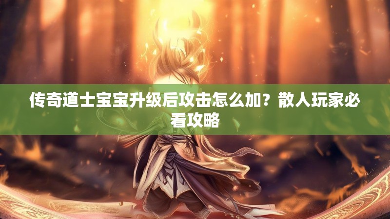 传奇道士宝宝升级后攻击怎么加?散人玩家必看攻略