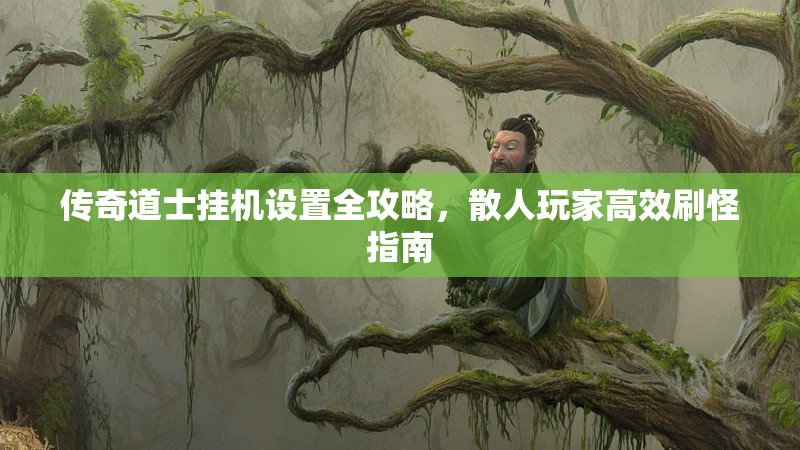 传奇道士挂机设置全攻略,散人玩家高效刷怪指南