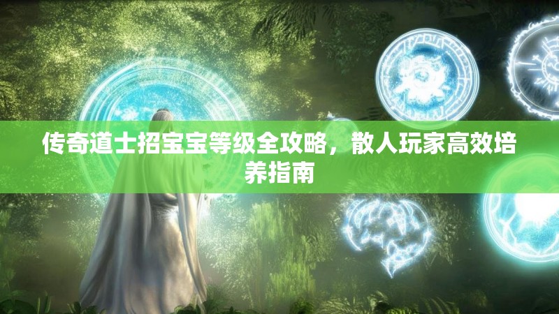 传奇道士招宝宝等级全攻略,散人玩家高效培养指南