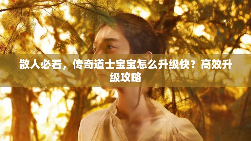 散人必看,传奇道士宝宝怎么升级快?高效升级攻略