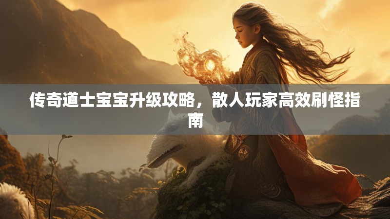 传奇道士宝宝升级攻略,散人玩家高效刷怪指南