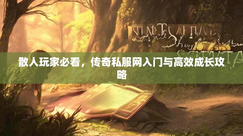 散人玩家必看，传奇私服网入门与高效成长攻略