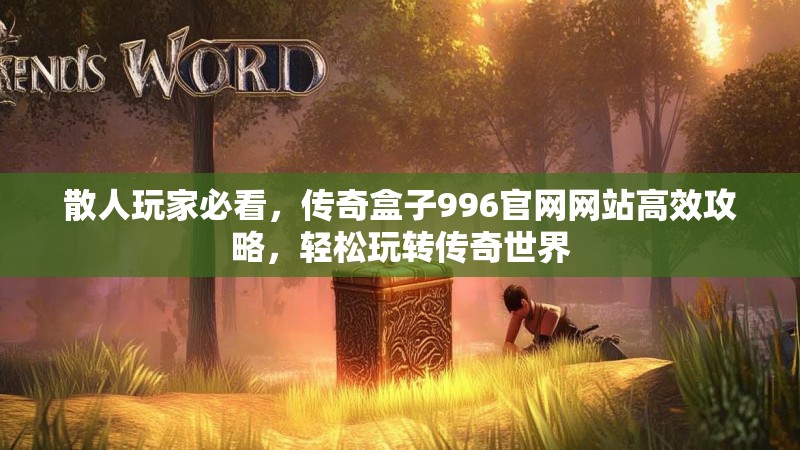 散人玩家必看，传奇盒子996官网网站高效攻略，轻松玩转传奇世界