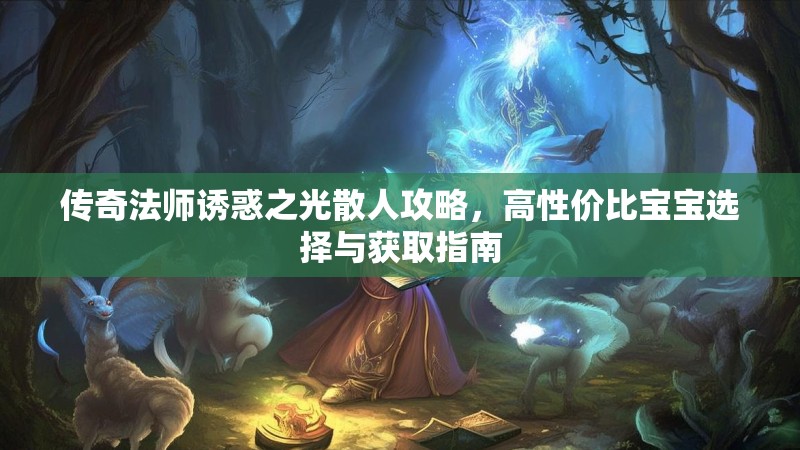 传奇法师诱惑之光散人攻略,高性价比宝宝选择与获取指南