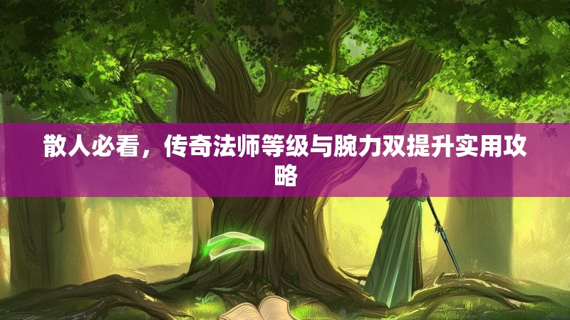 散人必看,传奇法师等级与腕力双提升实用攻略