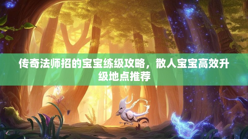 传奇法师招的宝宝练级攻略,散人宝宝高效升级地点推荐