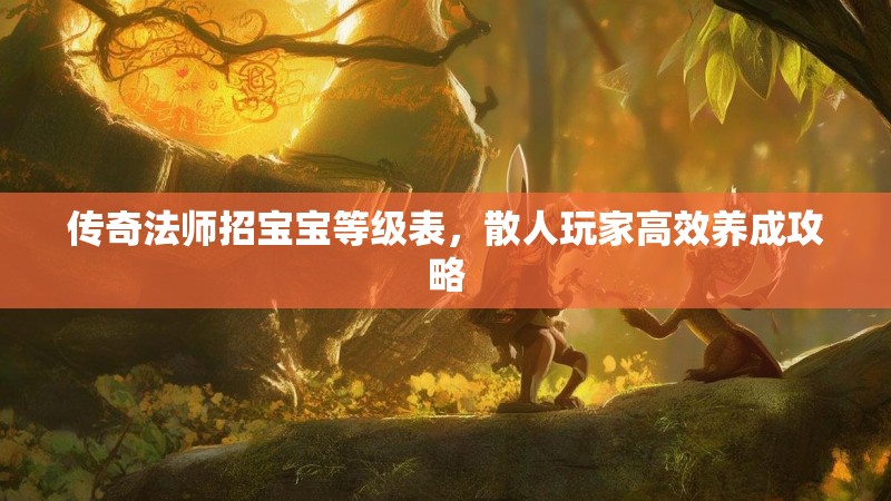 传奇法师招宝宝等级表,散人玩家高效养成攻略