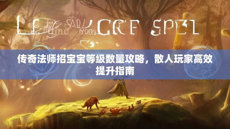 传奇法师招宝宝等级数量攻略,散人玩家高效提升指南