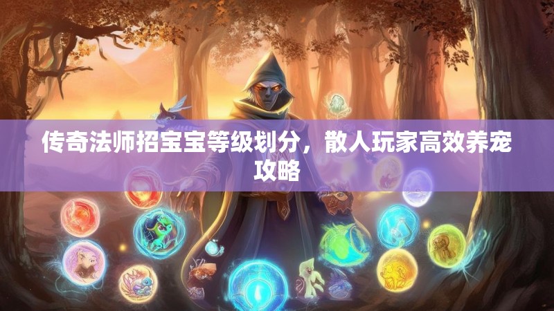 传奇法师招宝宝等级划分,散人玩家高效养宠攻略