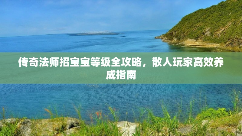 传奇法师招宝宝等级全攻略,散人玩家高效养成指南