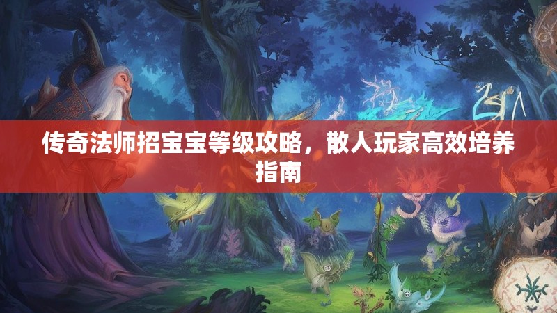 传奇法师招宝宝等级攻略，散人玩家高效培养指南