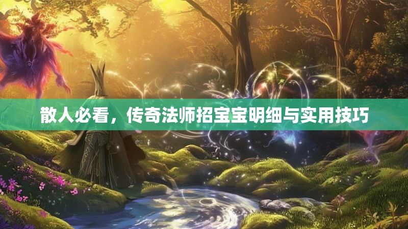 散人必看，传奇法师招宝宝明细与实用技巧