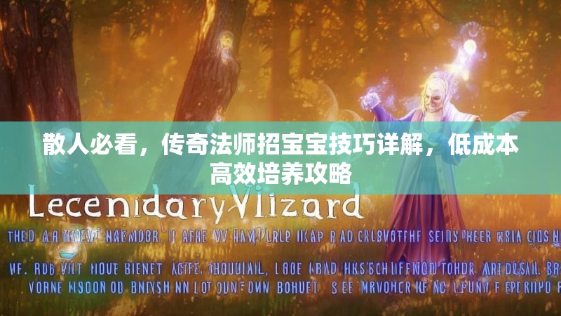 散人必看，传奇法师招宝宝技巧详解，低成本高效培养攻略
