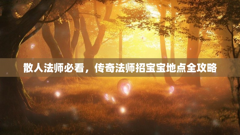 散人法师必看,传奇法师招宝宝地点全攻略