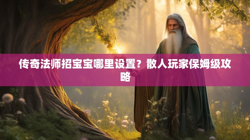 传奇法师招宝宝哪里设置?散人玩家保姆级攻略
