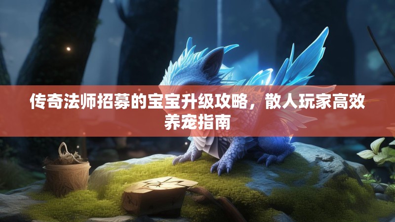 传奇法师招募的宝宝升级攻略,散人玩家高效养宠指南