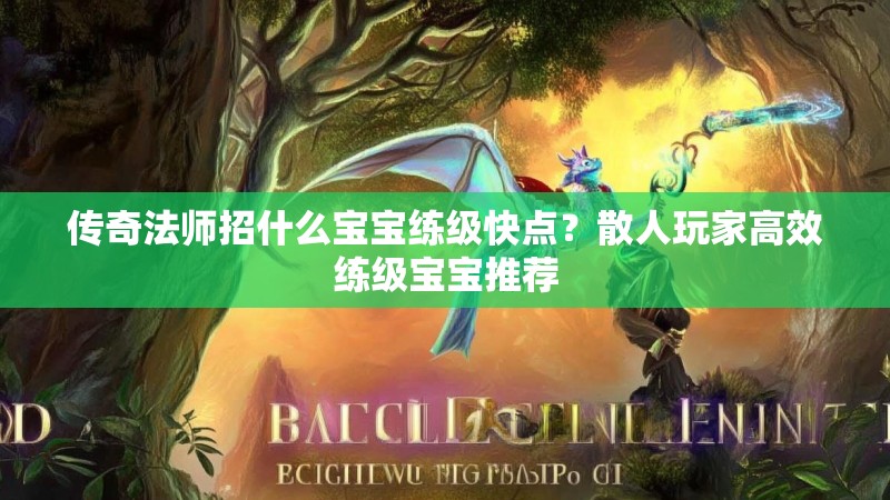传奇法师招什么宝宝练级快点?散人玩家高效练级宝宝推荐