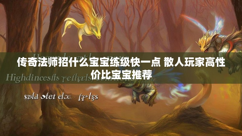 传奇法师招什么宝宝练级快一点 散人玩家高性价比宝宝推荐