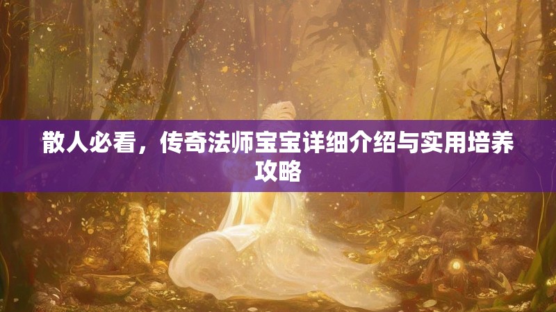 散人必看,传奇法师宝宝详细介绍与实用培养攻略